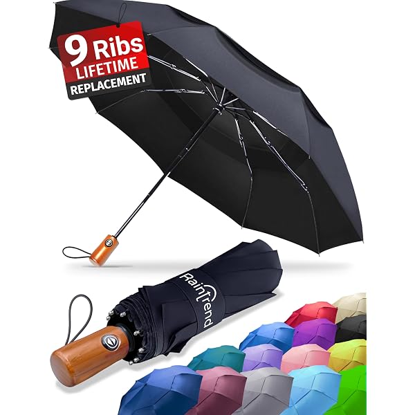TechRise Parapluie Pliable Automatique Coupe-Vent 10 Baleines - Ouverture/Fermeture Une Main, Compact Voyage