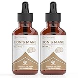 Lions Mane Liquid - Lion’s Mane Tincture for