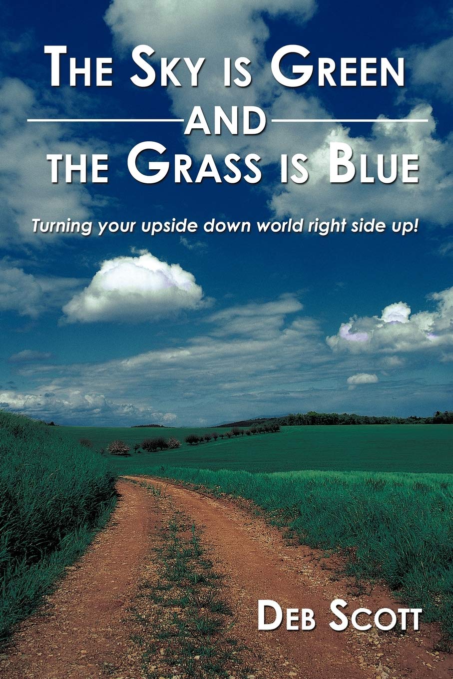 The Sky Is Green And The Grass Is Blue Turning Your Upside Down World Right Side Up Scott Deb Amazon Com Books