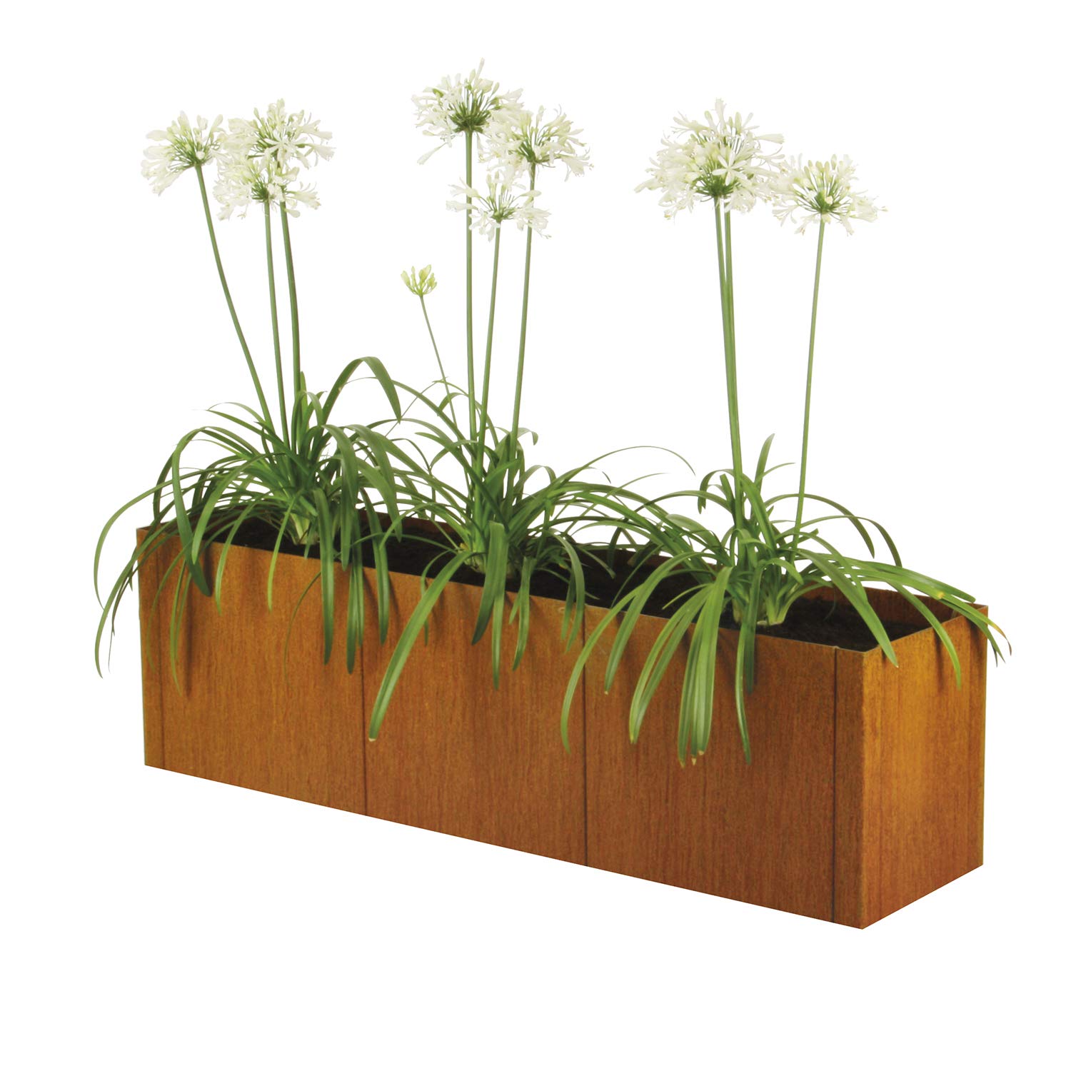 Sistema pannelo - Conjunto completo 116 x 44 x 50 cm 95468: Amazon ...