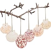 30PCS Natural Sea Shells 1.7"-2.6" Perforation Scallop Shells with Rope,for Christmas Tree Ornaments & DIY Hanging Home Deocration Craft Shells