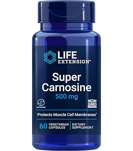 l acetyl carnitine same as actely choline Frontiers