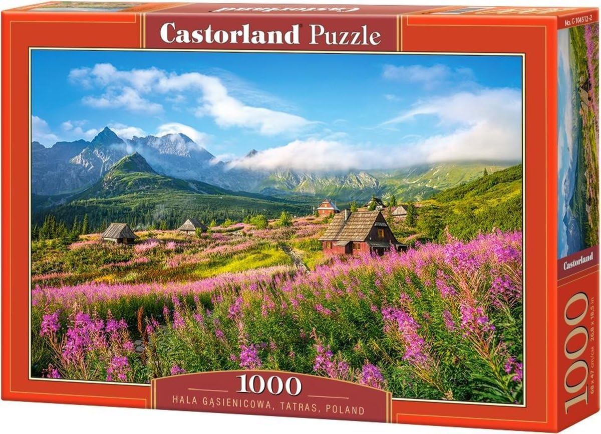 Castorland Jigsaw 1000 Pc - Hala Gasienicowa, Poland