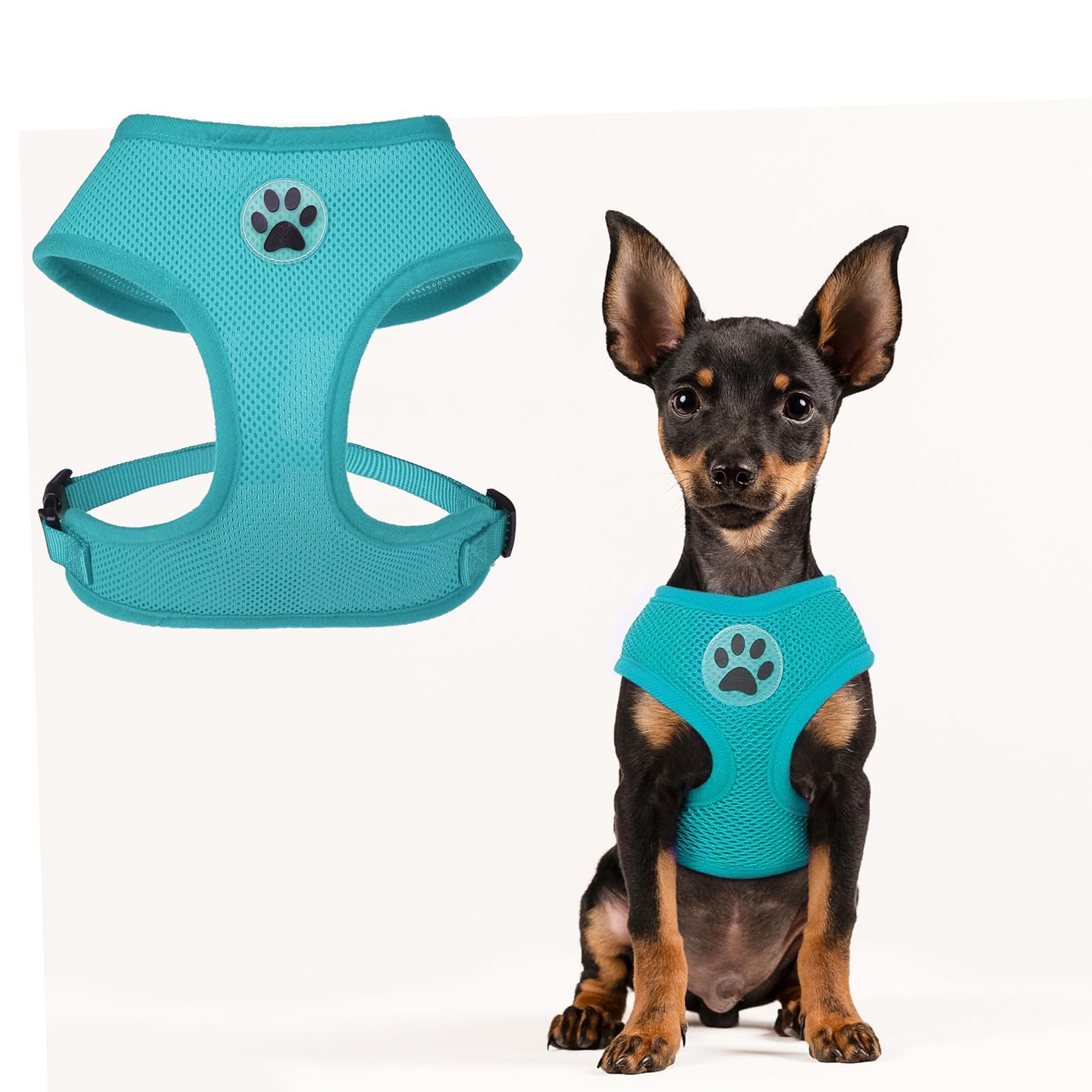 Photo 1 of BINGPET No Pull Dog Harness,All Weather Mesh Step-in Vest Harness for Small Dogs,Breathable Mesh Puppy & Cat Harness