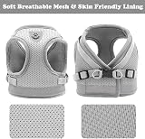 Anlitent Soft Mesh No Pull Cat Harness and Lead Set Grey X-Small view 7