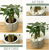 FANTIAN 2 Lbs White Pebbles 20-30 mm Decorative Stones for Plants Pots view 4