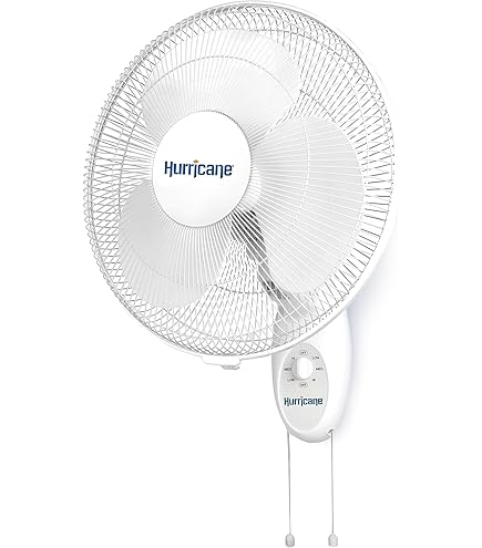 Amazon.com: XPOWER, 2100 CFM Portable Oscillating Fan FC-300S, Fan