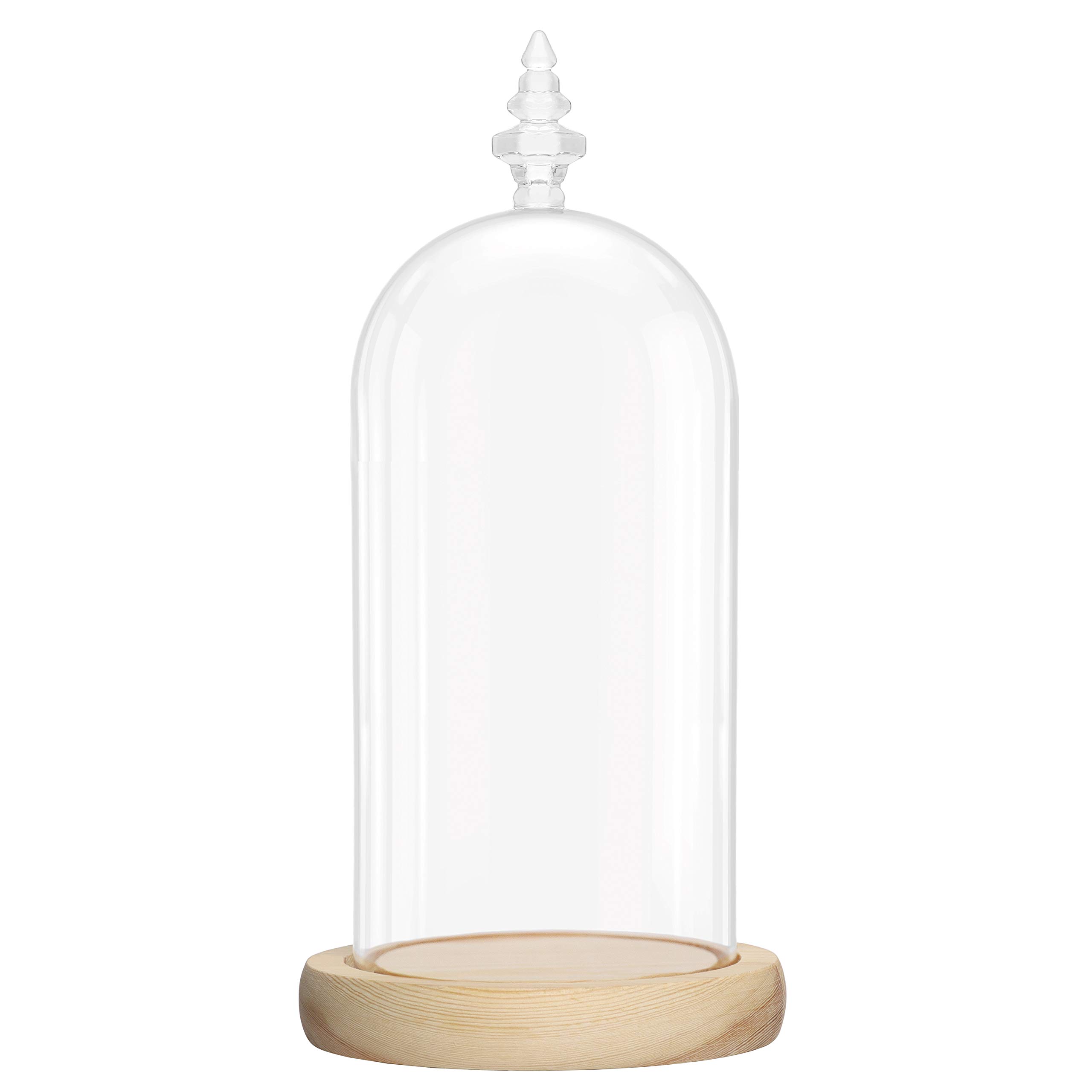 Belle Vous Glass Dome Cloche Bell Jar with Natural Wooden Base - 26.5cm/10.43 Inches - Clear Decorative Tabletop Display Case with Tray for Fairy Lights, Centrepieces and Antiques