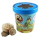 Praying Mantis Egg Case With Hatching Habitat Cup- 2 Praying Mantids Egg Cases