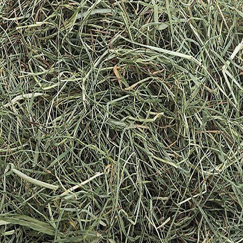 Small Pet Select 3rd Cutting Super Soft Timothy Hay Pet Food for Picky Eaters Rabbits, Guinea Pigs, and Other Small Animals - Image 3