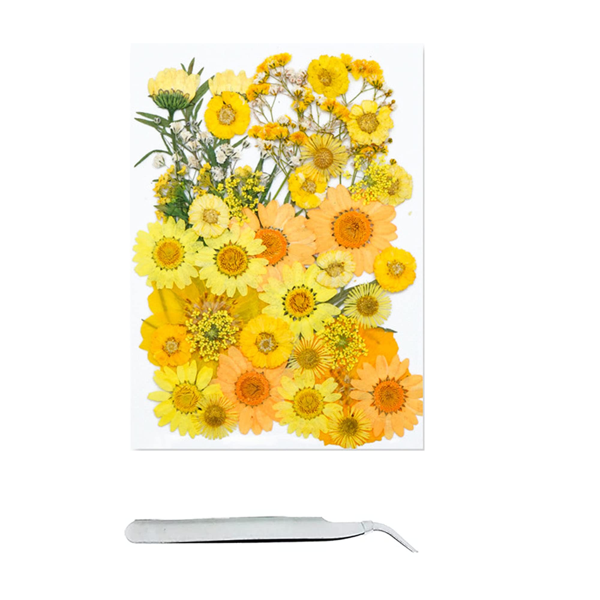 Cayway 40 Pcs Real Pressed Flowers Dry with Tweezers Set, Dried Pressed Flowers Real Pressed Flowers for Resin Scrapbooking DIY Art Crafts, Epoxy Resin Jewelry, Soap Making