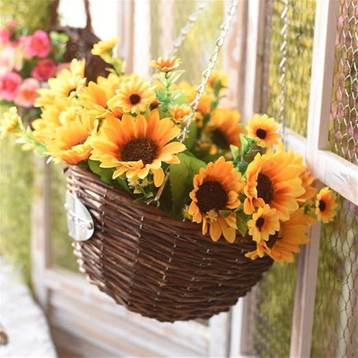 EXDJ Casa jardín Sauce de Pared colgaderas Maceta Colgando del Gancho