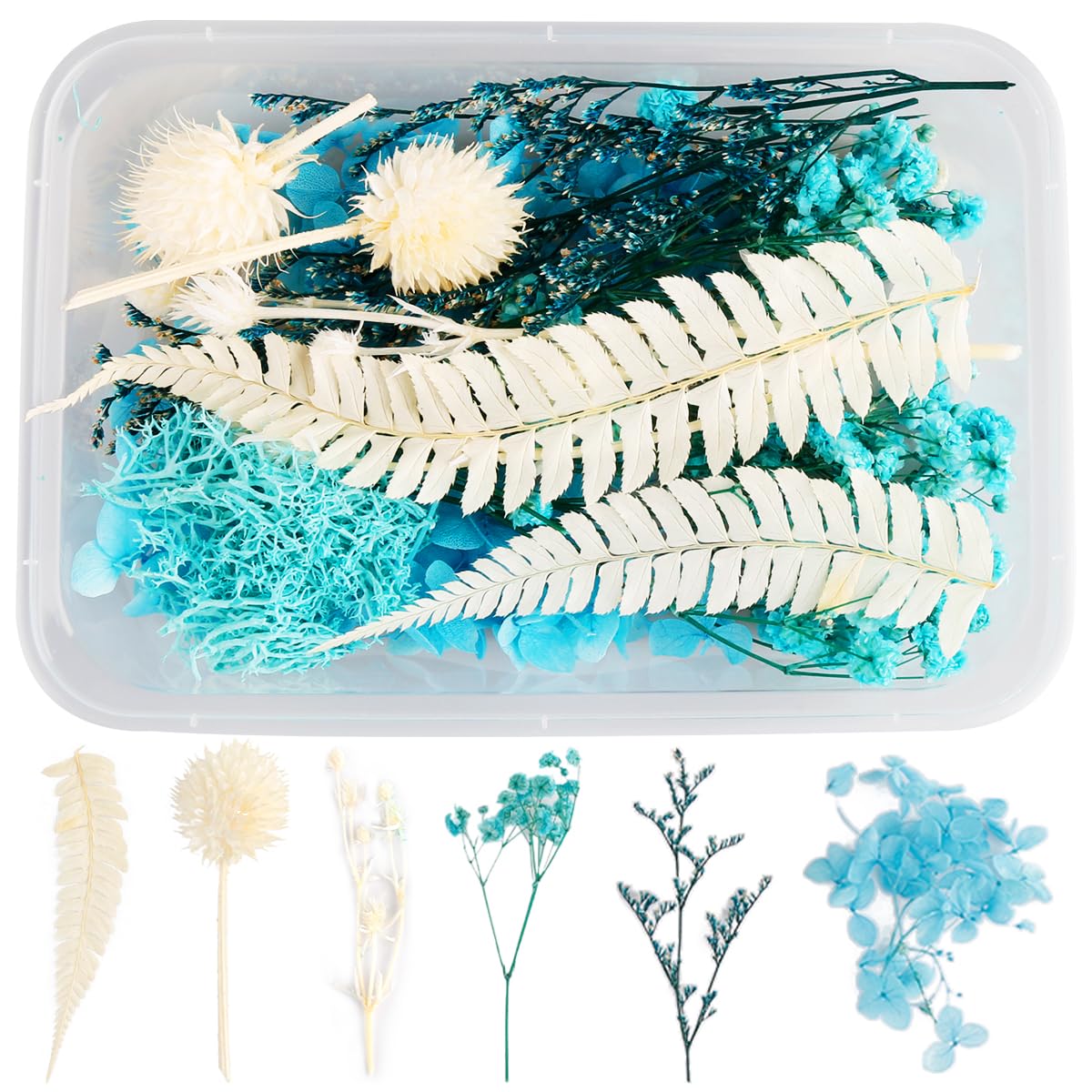 Vanyibro Natural Dried Flowers Set,Pressed Flowers,Real Dried Embossing Mixes,Pressed Flowers for Scrapbooking, DIY Candle Resin and Jewelry Crafts Floral Decor