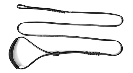 Dingo Ausstellungsleine aus weichem Leder mit Geflochtenem Griff, 10 mm x 250 cm, Braun