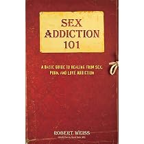 Sex Addiction 101: A Basic Guide to Healing from Sex, Porn, and ...