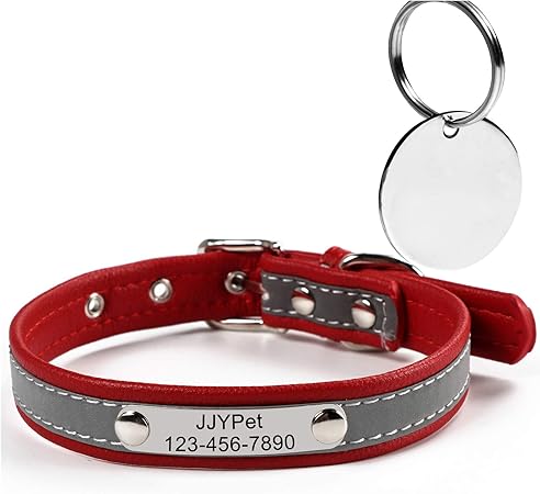 amazon dog collar with name