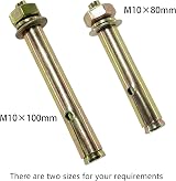 DDHOMIN 10 PCS M10 Heavy Duty Expansion Bolts 100mm Wall Floor Anchor view 6