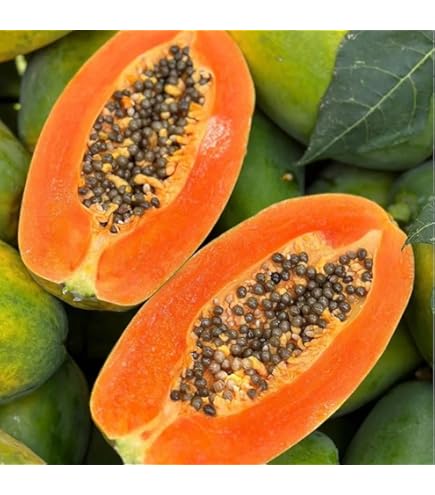 Amazon.com : Papaya 25 Fresh Red Solo Tropical Fruit, Non