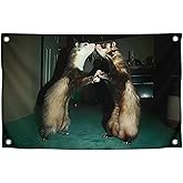 3x5 Feet Cool Funny Flags - Cute Ferrets - Single Sided Polyester Funny Tapestry for Bedroom with 4 Brass Grommets - Wall Funny Flags for Dorm Room or Outdoor Decor - Polyester Flags for College Dorm