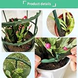 HCLRW 16 Pcs Plant Support Stakes 5.5 x 9.5 Half Round Ring Spliceable view 5
