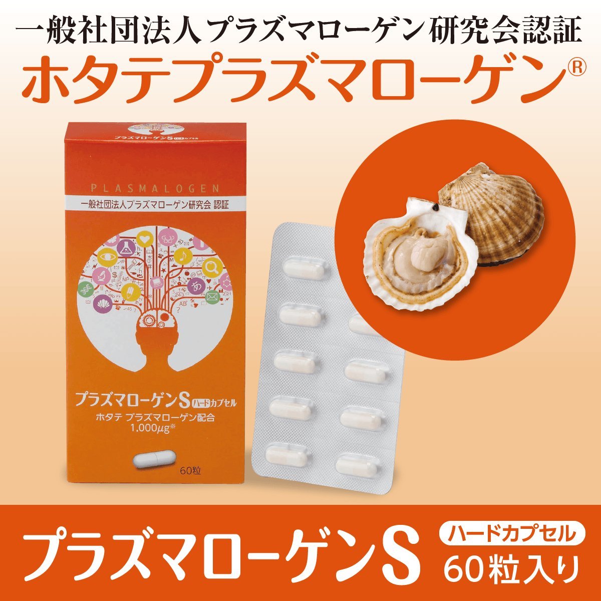 60粒 約1ヶ月分 プラズマローゲンsハードカプセル B06xcm4t5t 栄養補助食品 人気新品 Www Bakesbangpol Jatimprov Go Id