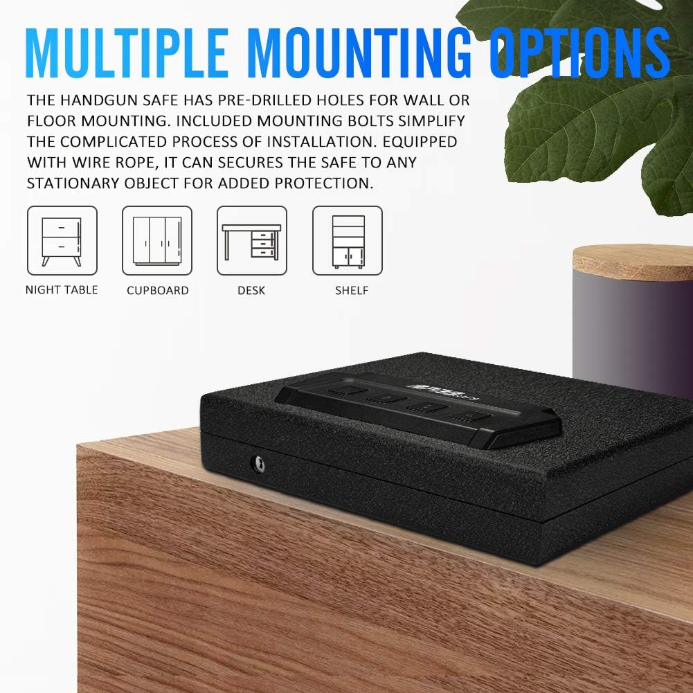 RPNB Portable Security Safe, Quick-Access Dual Firearm Safety Device with Quick Reliable Keypad Access : Sports & Outdoors