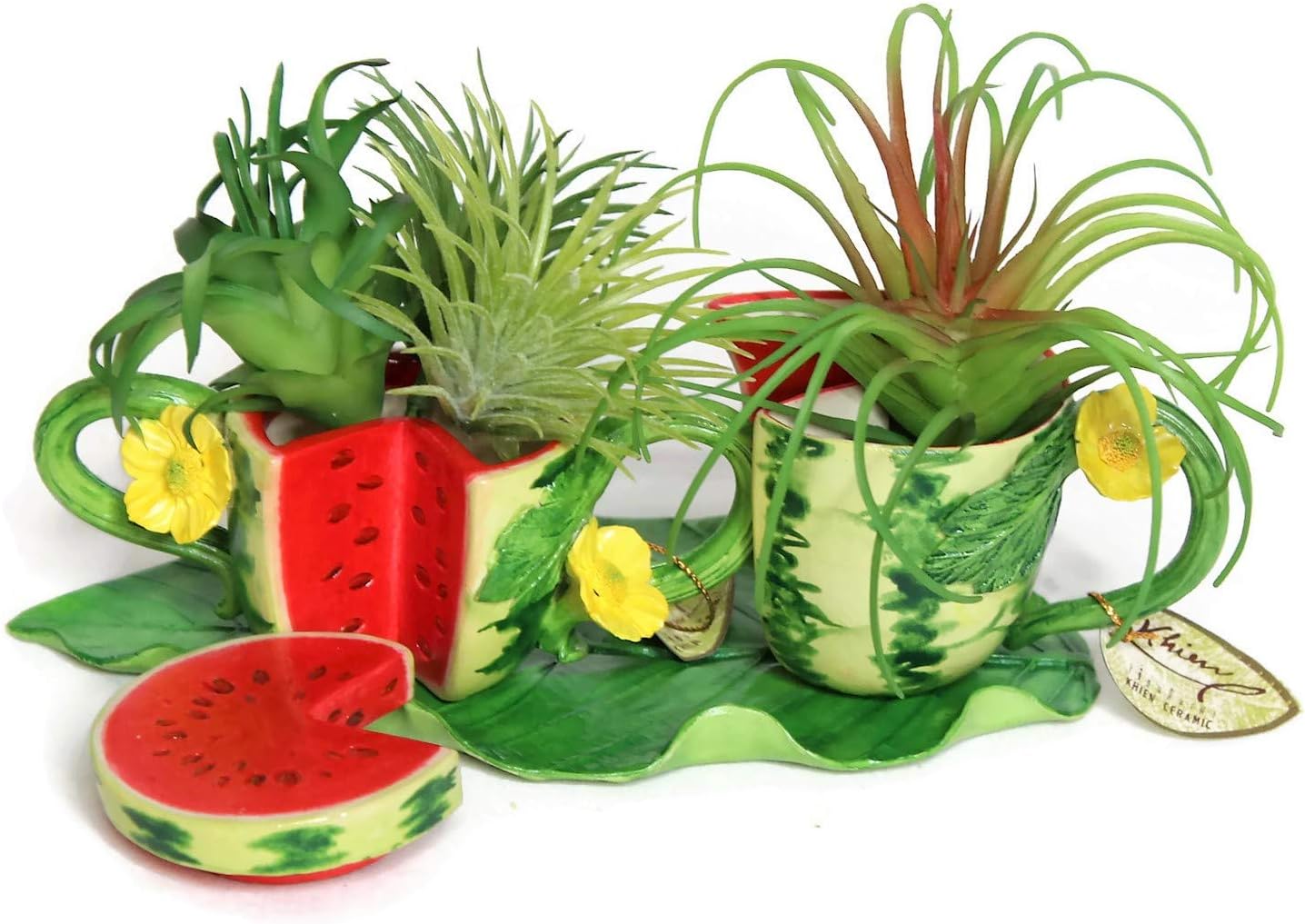 Best Tiny Dish Garden Gnomes