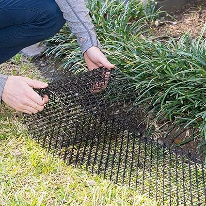 Filet En Plastique Pour La Plante Garde En Plastique Anti Chats Thorn Cat Et Chien Garde Repulsif Pour Le Jardin Vert Amazon Fr Cuisine Maison Filet En Plastique Pour La Plante Garde En Plastique Anti Chats Thorn Cat Et Chien Garde Repulsif Pour Le Jardin Vert Amazon Fr Cuisine Maison