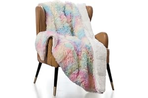 Mr. Sandman Faux Fur 12 lb Weighted Blanket for Adult, Luxury Shaggy Longfur Heavy Blanket Throw for Couch Bed, Super Soft Warm Sherpa Reverse Weighted Blanket - 48"×72", Rainbow