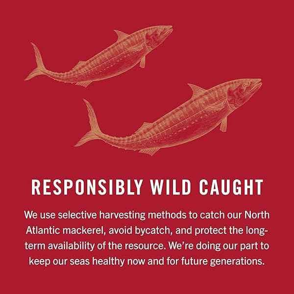 KING OSCAR MACKEREL IN OLIVE OIL, 4.05 OUNCE CAN (PACK OF 1, PACKAGING MAY VARY), SKINLESS & BONELESS, WILD CAUGHT CANNED MACKEREL