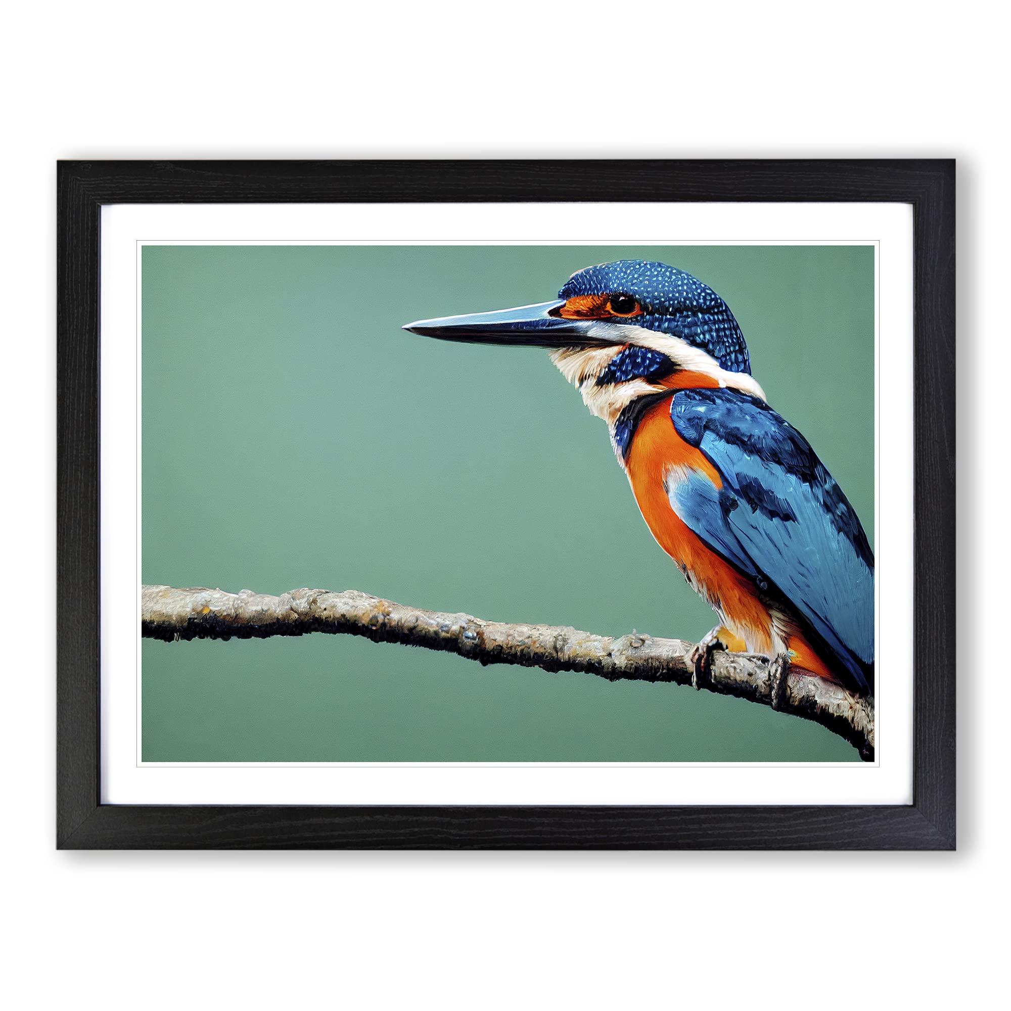 Head Turning Kingfisher Bird Framed Print | A4 Black Framed Wall Art | Ready to Hang | Modern Nature Picture | Living Room Bedroom Lounge Office