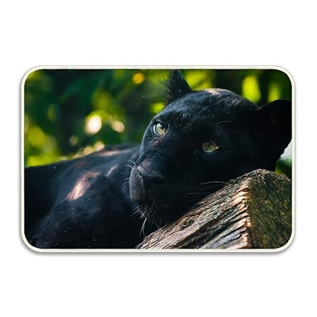 Lijied Indoor Outdoor Entrance Rug Black Panther Floor Mats Shoe