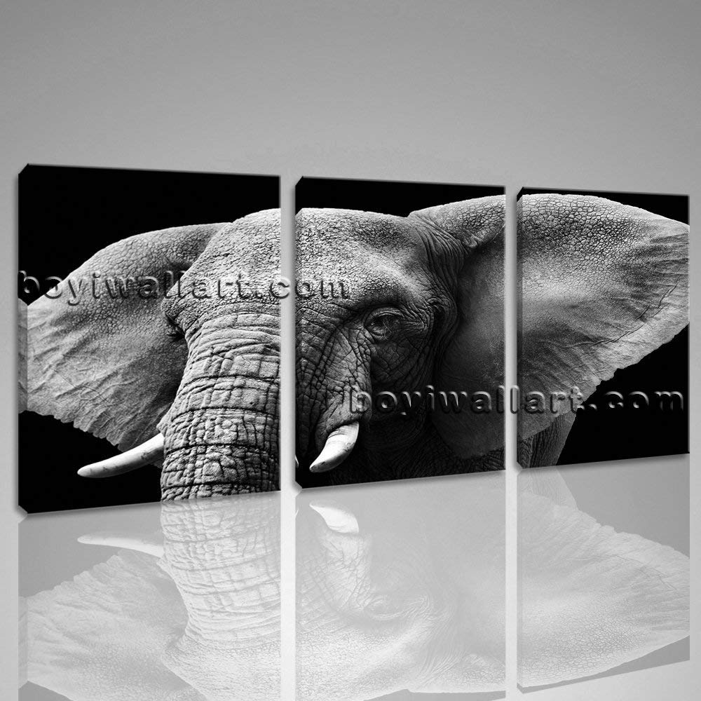 Amazon.com: Large Black And White Elephant Print Art Painting Three