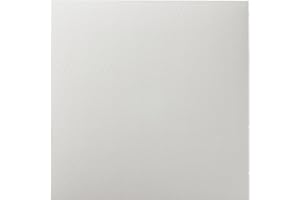 ACHIM HOME FURNISHINGS Nexus Self Adhesive 12-Inch Vinyl Floor Tiles, 20 Tiles - 12" x 12", White Slate Pattern - Peel & Stick, DIY Flooring for Kitchen, Dining Room, Bedrooms & Bathrooms by Achim Home Décor 20-pack