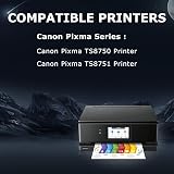 DOUBLE D PGI-530 CLI-531 XXL Ink Cartridges 6-Pack for Canon TS8750 TS8751 view 2