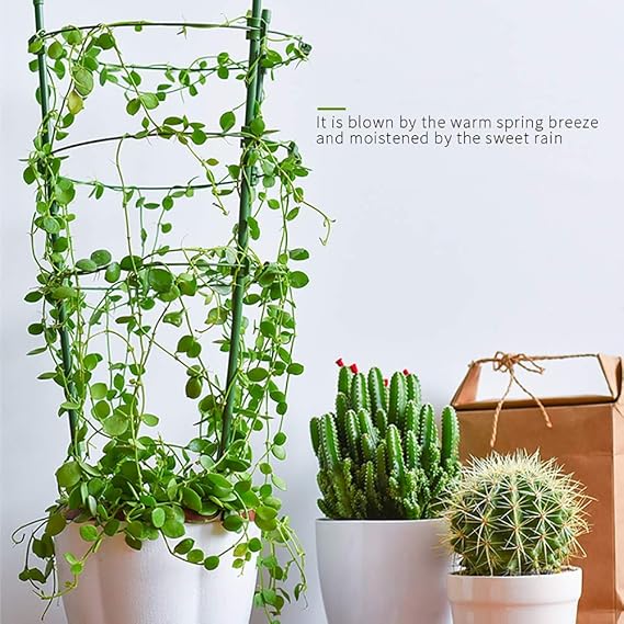 STSERI Jaulas de Soporte de Plantas Jaulas de Plantas con 3 ...