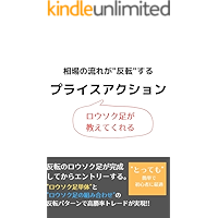 fx: soat (Japanese Edition) book cover