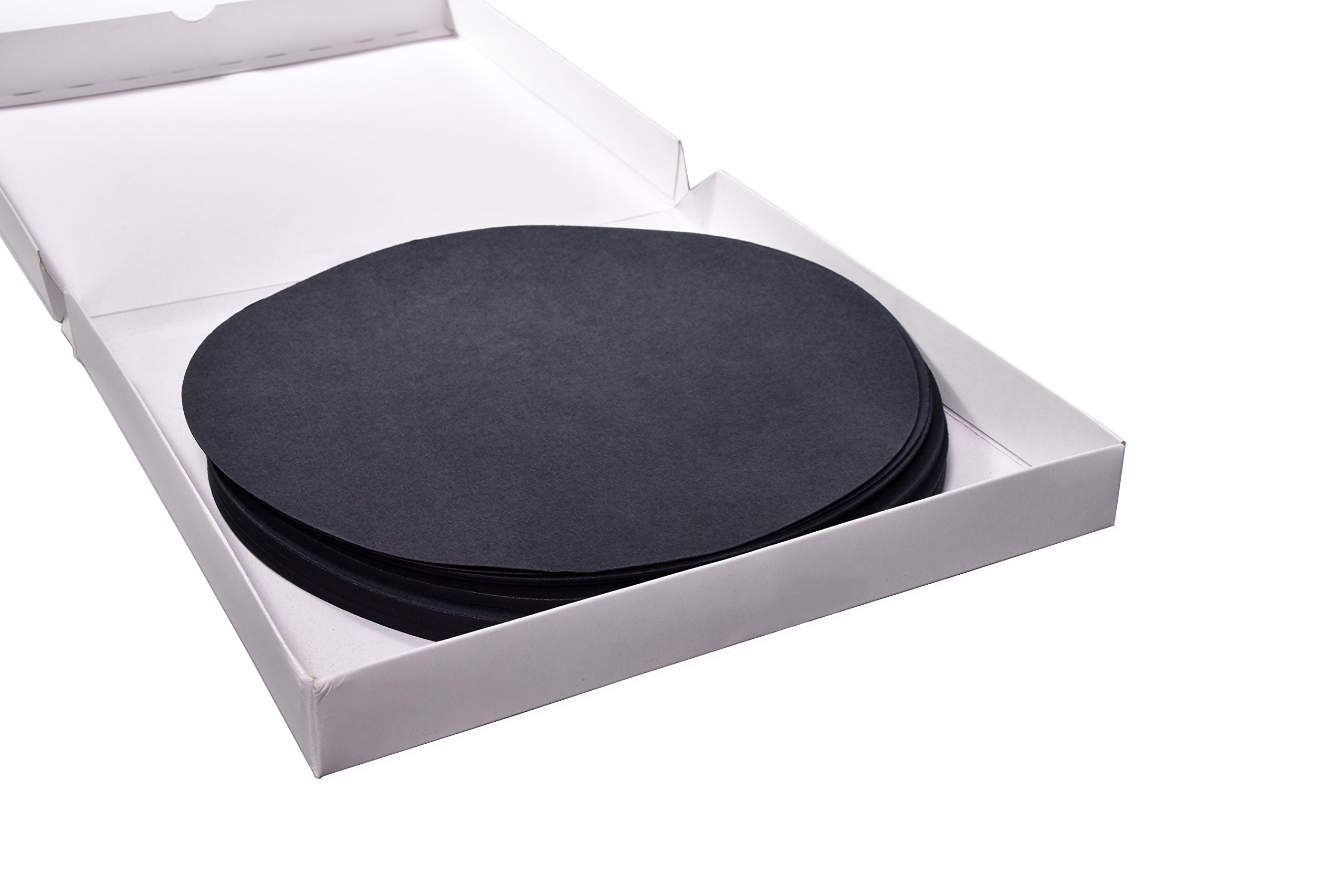 Camlab 1191248 Grade 918 Black Filter Paper, 240 mm (Pack of 100)