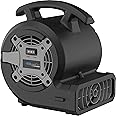 Lasko BlueDri Portable 1/8 HP Mini Multi-Purpose Air Mover Blower Utility Fan for Home, Carpet and Floor Drying, Black, BD-VP-15-BK, Medium