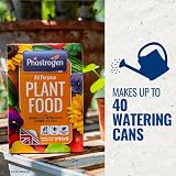Phostrogen All Purpose Plant Food 400g Fertiliser for Indoor Garden view 5