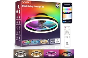 Lumary Smart WiFi Ceiling Fans with Lights, RGBAI Flush Mount Ceiling Fans with Lights and Remote, Dual Lighting Mode Modern LED Low Profile Ceiling Fan for Bedroom Works with Alexa Google, 20in Black