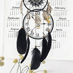 HaiMay 100 Pieces Black Feathers for Craft Wedding