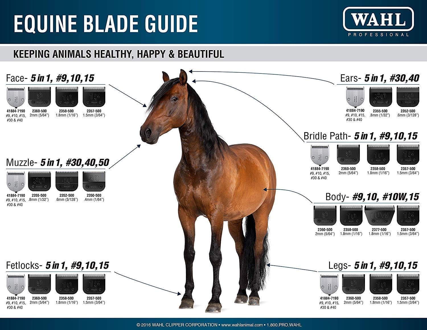 Pet Grooming Clipper Blades : Wahl Professional Animal #10 Medium Ultimate Competition Series Detachable Blade with 1/16-Inch Cut Length (#2358-500), Black