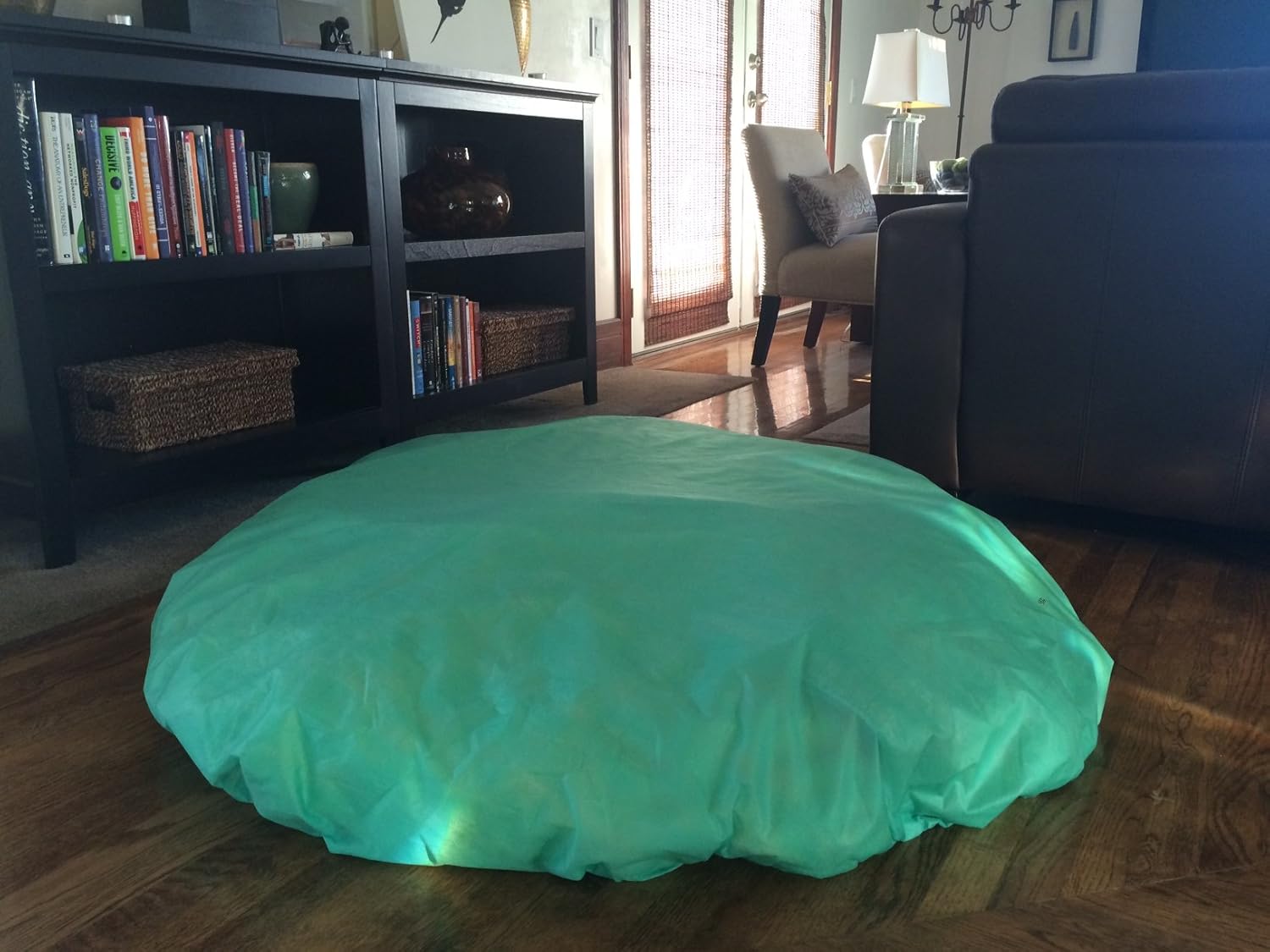 disposable dog bed covers