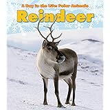 Reindeer (A Day in the Life: Polar Animals)