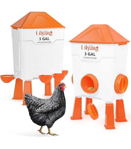 Little Giant 60-Pound Poultry Chicken Gravity Feeder - Heavy Duty Dome Design, Model DOMEFDR60