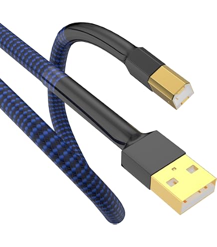 Amazon.com: iFi Gemini3.0 Dual Headed Audiophile USB Cable with
