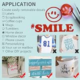 Lya Vinyl Red Permanent Vinyl Roll 12x5Ft for Cricut Outdoor Self Adhesive view 5