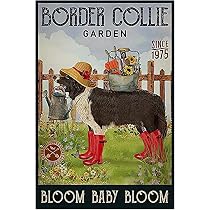 Amazon.com : Xanovir Funny Flowers Metal Poster, Dog Country ...