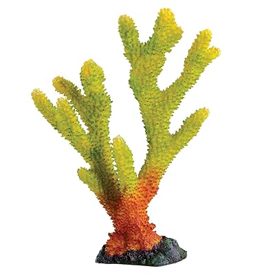 Colorful Underwater Treasures Staghorn Coral Togo Ubuy